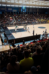 2. semifinále TIPOS SBL: BC Prievidza - Patrioti Levice 75:94 (Vladimír Králik)