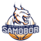 Vstupenky 4 kk samobor logo